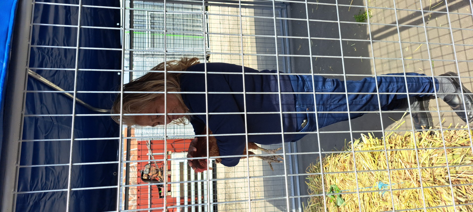 PetEnclosureGettingCloseTo_the_Pets2 pet enclosure Picture